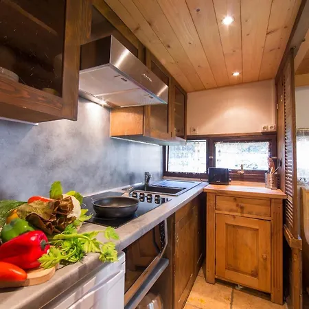 Sainte-foy-l'argentiere Sleeps 4 T454437 Apartament *